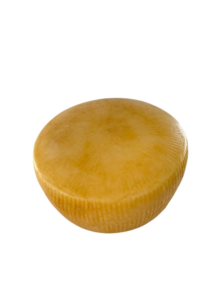 Pecorino Fresco